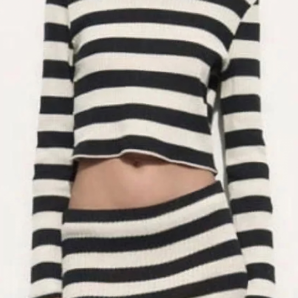 Zara Black and White Striped Crop Top
